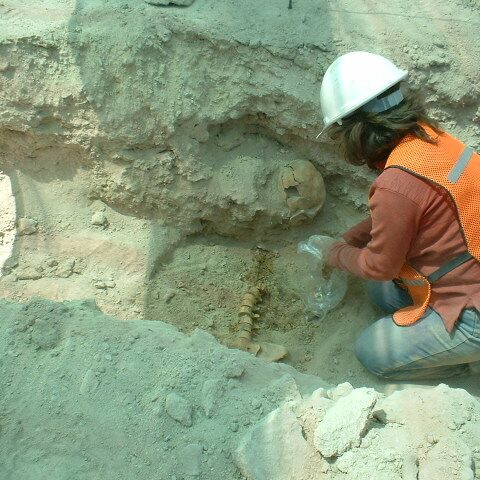 estudios-arqueologicos2